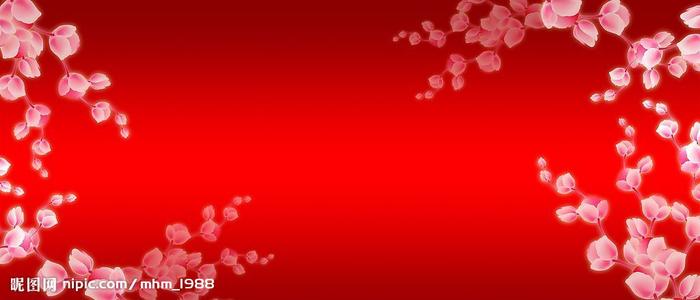 罗彻斯特学院本科offer